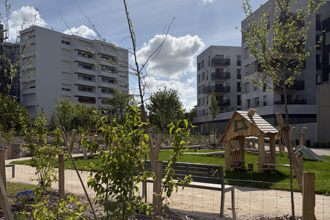 Butte-Verte : la forêt urbaine bientôt inaugurée